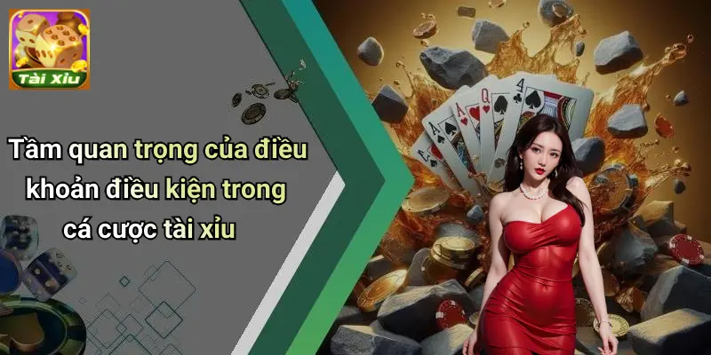 Điều khoản điều kiện 1 Điều Khoản Điều Kiện
