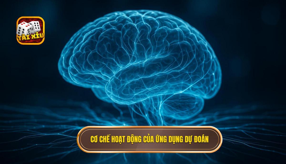 Cơ chế Hoạt Động Của App Dự Đoán Tài Xỉu