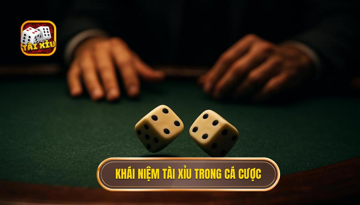 Khái niệm tài xỉu hòa trong các loại hình cá cược phổ biến