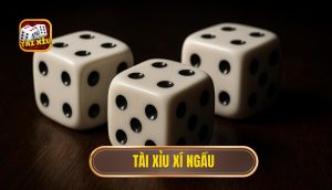 thumb - tài xỉu xí ngầu