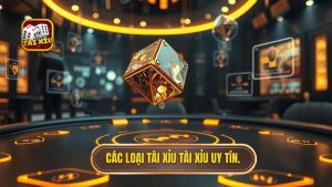 Các loại tài xỉu phổ biến hiện nay: Tổng hợp và phân tích chi tiết