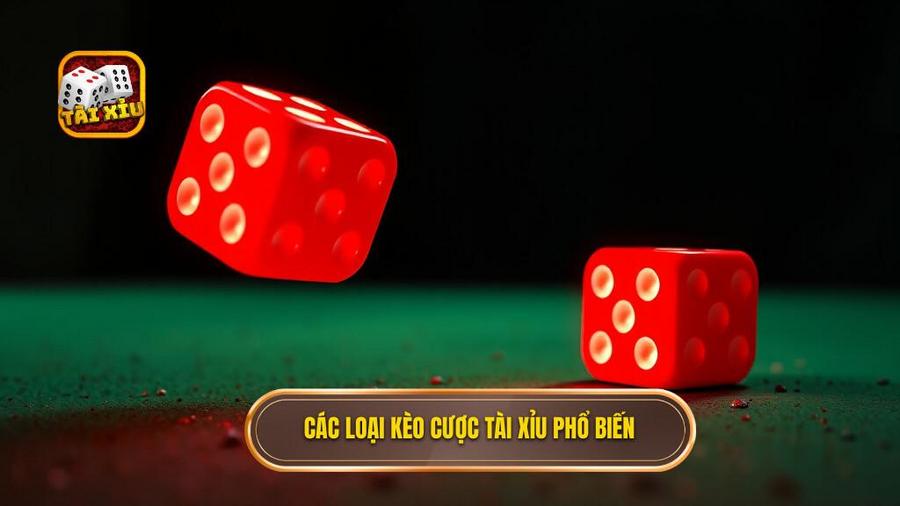 Các loại kèo cược tài xỉu phổ biến